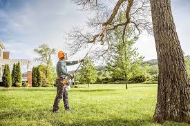 Best Lot and Land Clearing  in Corbin, KY