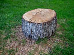 Best Lawn Grading and Leveling  in Corbin, KY