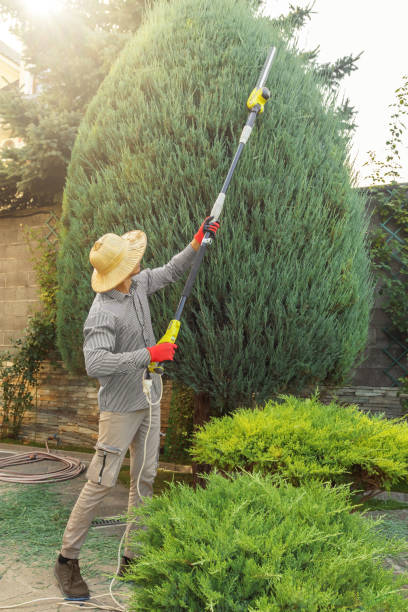 Best Lawn Drainage Solutions  in Corbin, KY
